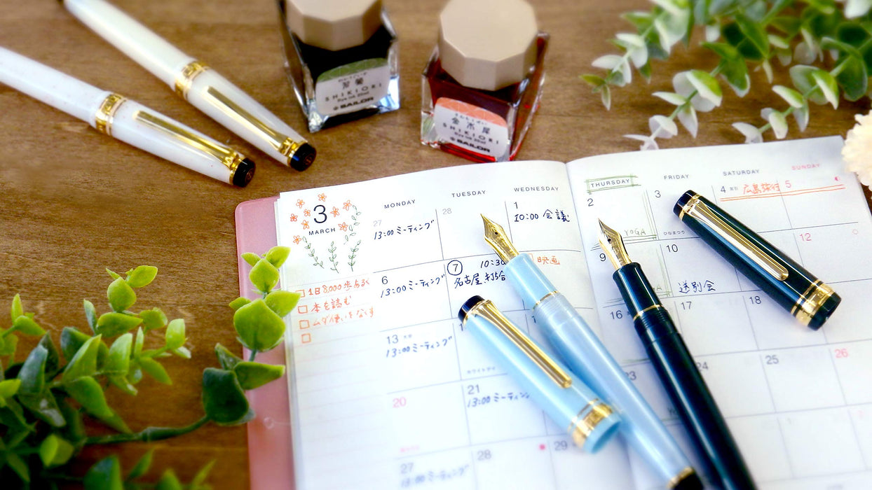 Sailor Japan 4 Seasons Oribe Setsugetsu Soraha Manyo Extra Fine Pen-Kiichin - The #1 Place for Japanese Goods in Your Hand!